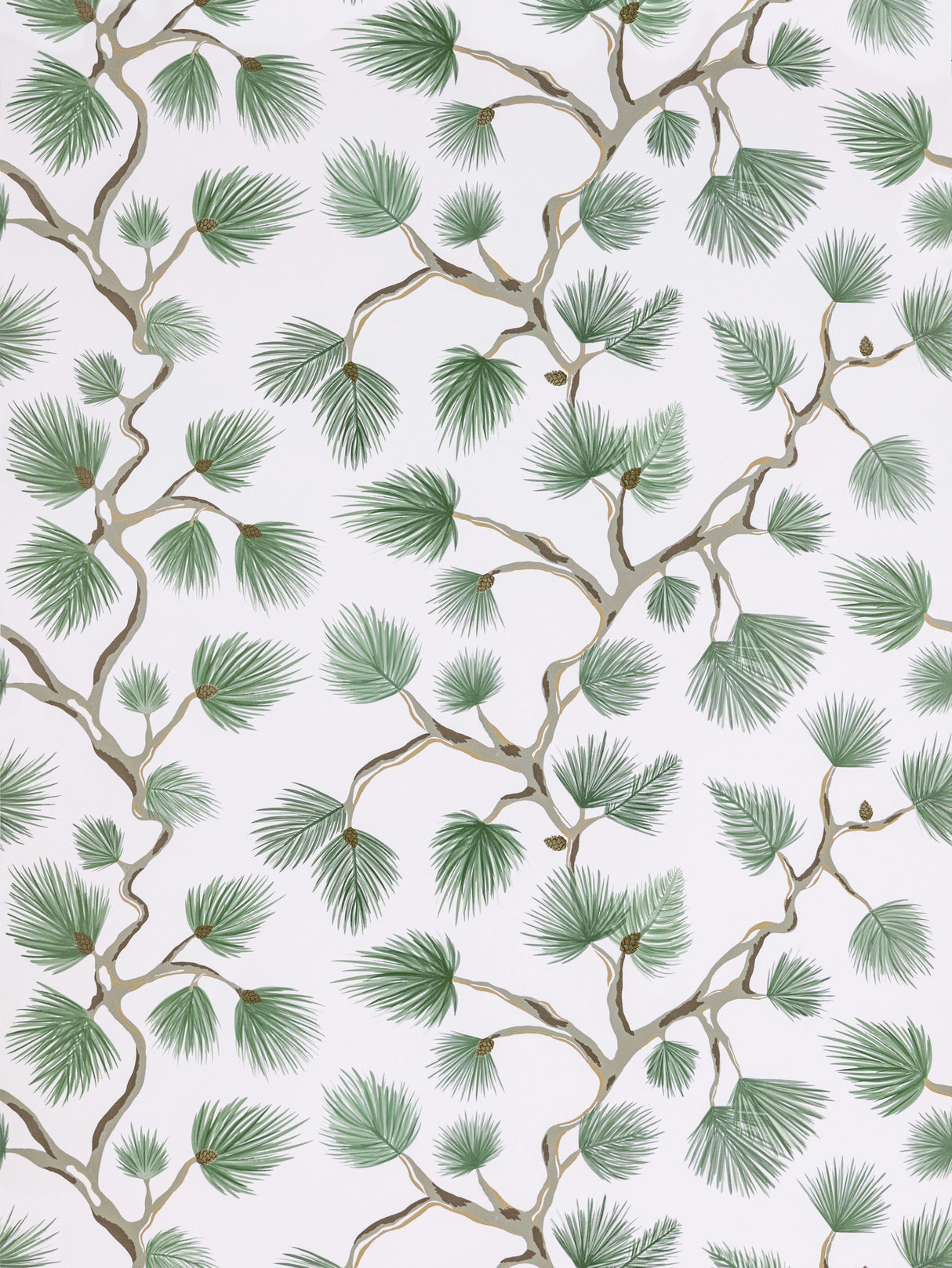 Scalamandre SC 0005WP88593D FERN PIGNOLI WALLPAPER - Eade's Wallpaper