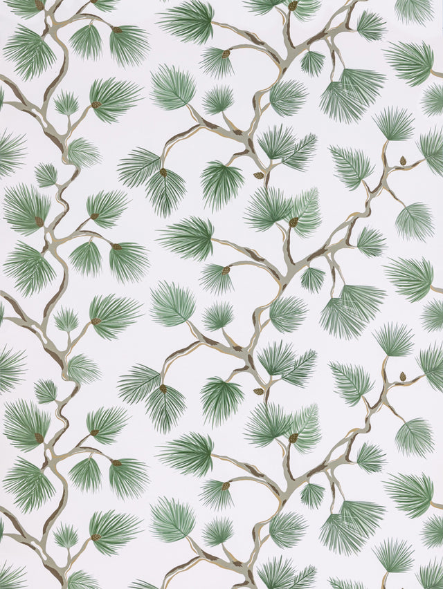 Scalamandre SC 0005WP88593D FERN PIGNOLI WALLPAPER - Eade's Wallpaper