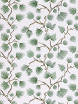 Scalamandre SC 0005WP88593D FERN PIGNOLI WALLPAPER - Eade's Wallpaper
