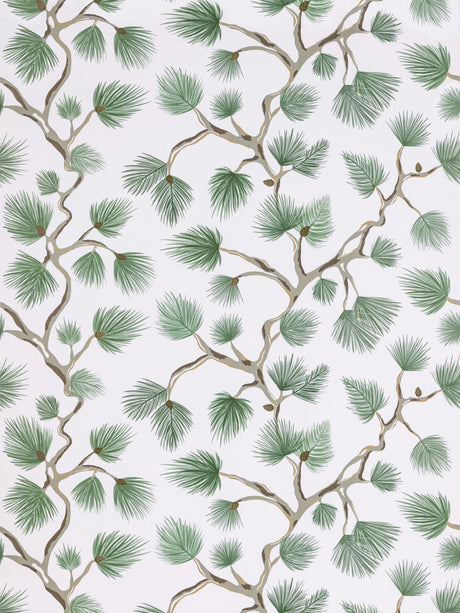 Scalamandre SC 0005WP88593D FERN PIGNOLI WALLPAPER - Eade's Wallpaper