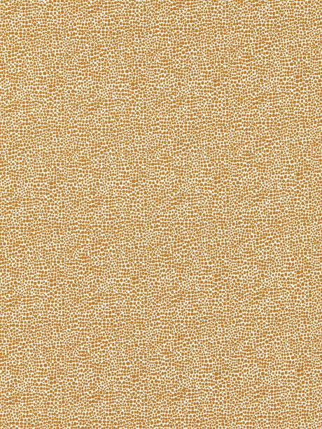 Scalamandre SC 000626914M BEIGE SHAGREEN Fabric - Eade's Wallpaper