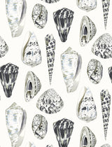 Scalamandre SC 0006WP88365 GRAPHITE COQUINA WALLPAPER - Eade's Wallpaper