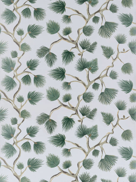 Scalamandre SC 0006WP88593D EVERGREEN PIGNOLI WALLPAPER - Eade's Wallpaper