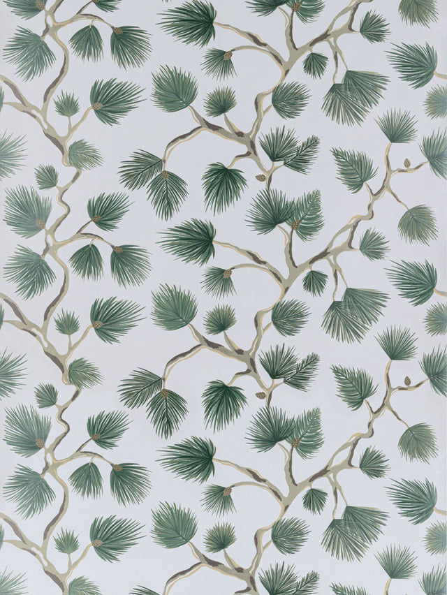 Scalamandre SC 0006WP88593D EVERGREEN PIGNOLI WALLPAPER - Eade's Wallpaper