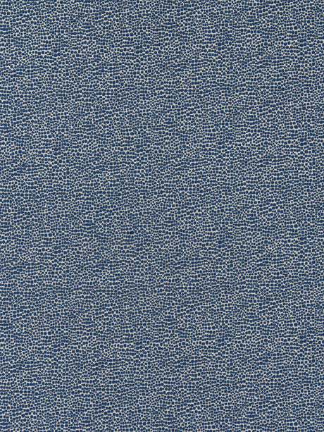 Scalamandre SC 000726914M BLUE SHAGREEN Fabric - Eade's Wallpaper