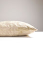 Scalamandre SC 0014SDDK26690 FALK MANOR HOUSE PILLOW - Pillo
