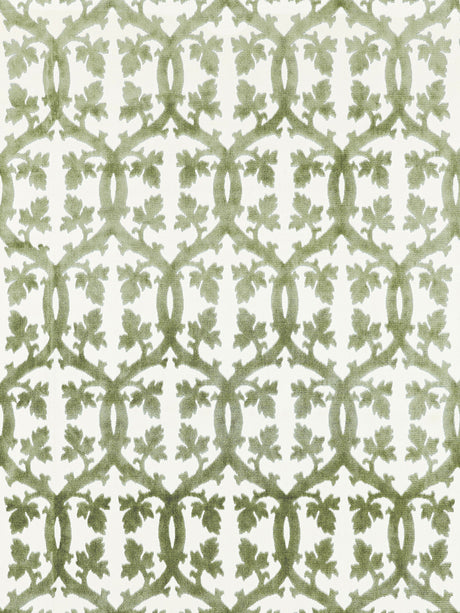 Scalamandre SC 001626690M GREEN TEA FALK MANOR HOUSE Fabric - Eade's Wallpaper
