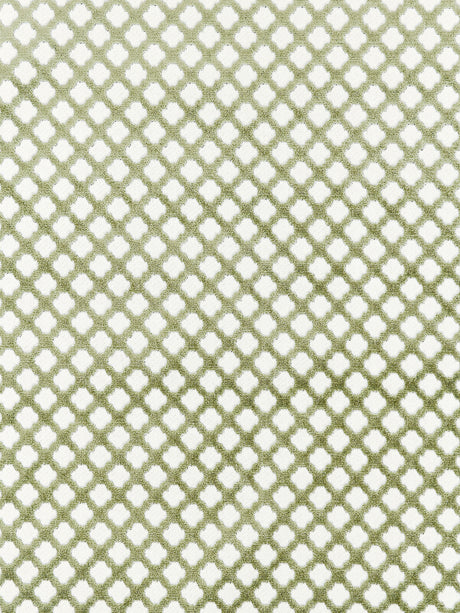 Scalamandre SC 001726692M GREEN TEA POMFRET Fabric - Eade's Wallpaper