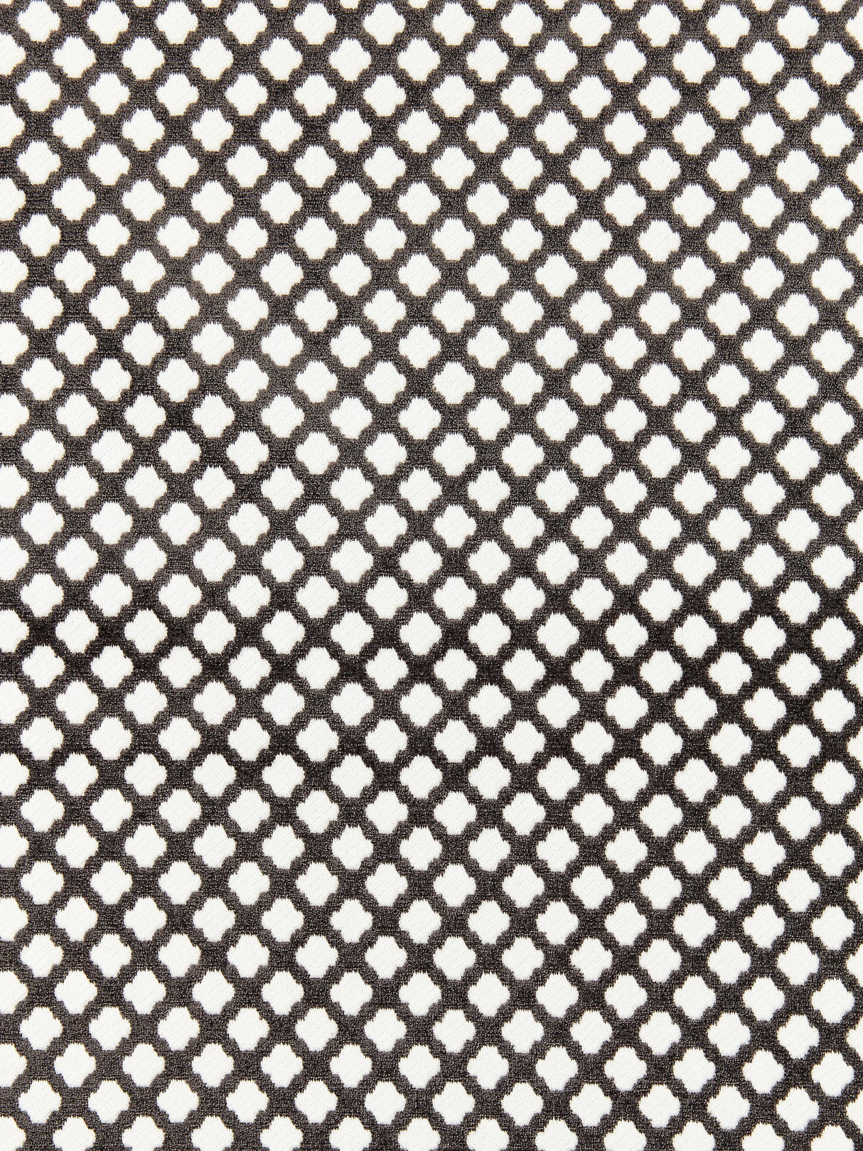 Scalamandre SC 001926692M CARBON POMFRET Fabric - Eade's Wallpaper