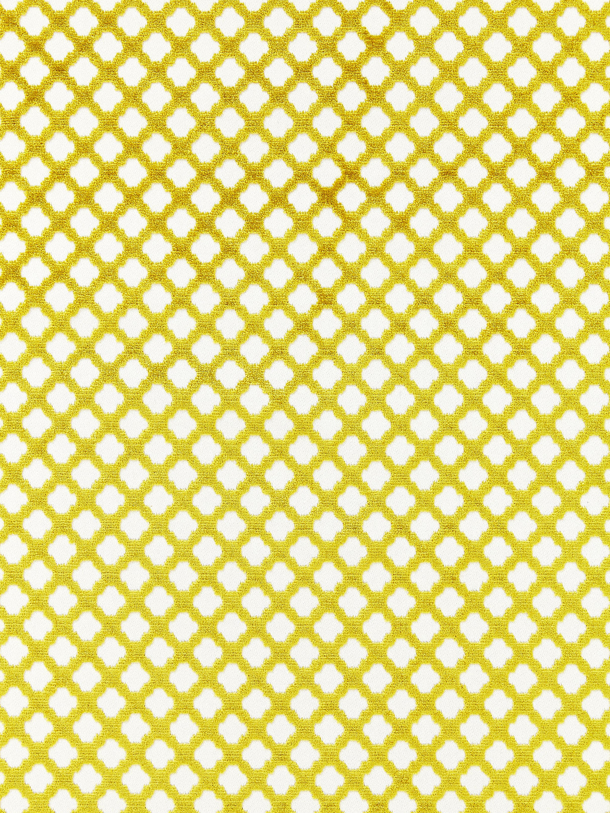 Scalamandre SC 002026692M CHARTREUSE POMFRET Fabric - Eade's Wallpaper