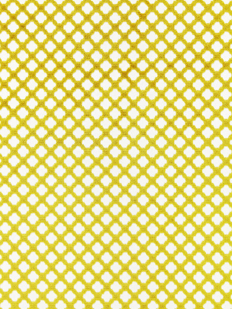 Scalamandre SC 002026692M CHARTREUSE POMFRET Fabric - Eade's Wallpaper