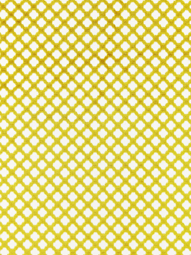 Scalamandre SC 002026692M CHARTREUSE POMFRET Fabric - Eade's Wallpaper