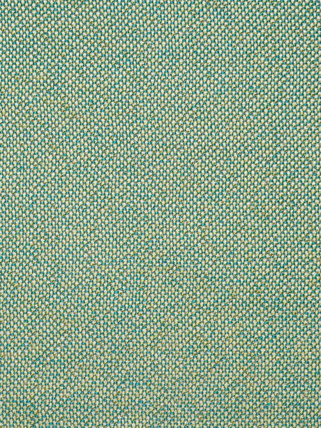 Scalamandre SC 002027249 PALM LEAF CITY TWEED Fabric - Eade's Wallpaper