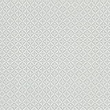 Sandudd SD5231-4 Fluge Grey Geometric Wallpaper