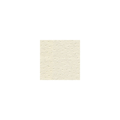 KRAVET DESIGN SENNA.101.0 KRAVET DESIGN SENNA-101 Fabric - Eade's Wallpaper