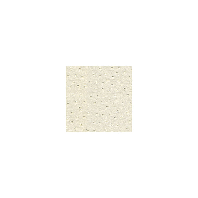 KRAVET DESIGN SENNA.101.0 KRAVET DESIGN SENNA-101 Fabric - Eade's Wallpaper