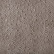 KRAVET DESIGN SENNA.11.0 KRAVET DESIGN SENNA-11 Fabric - Eade's Wallpaper