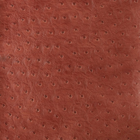 KRAVET DESIGN SENNA.19.0 KRAVET DESIGN SENNA-19 Fabric - Eade's Wallpaper