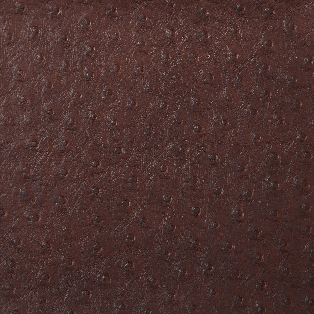 KRAVET DESIGN SENNA.66.0 KRAVET DESIGN SENNA-66 Fabric - Eade's Wallpaper