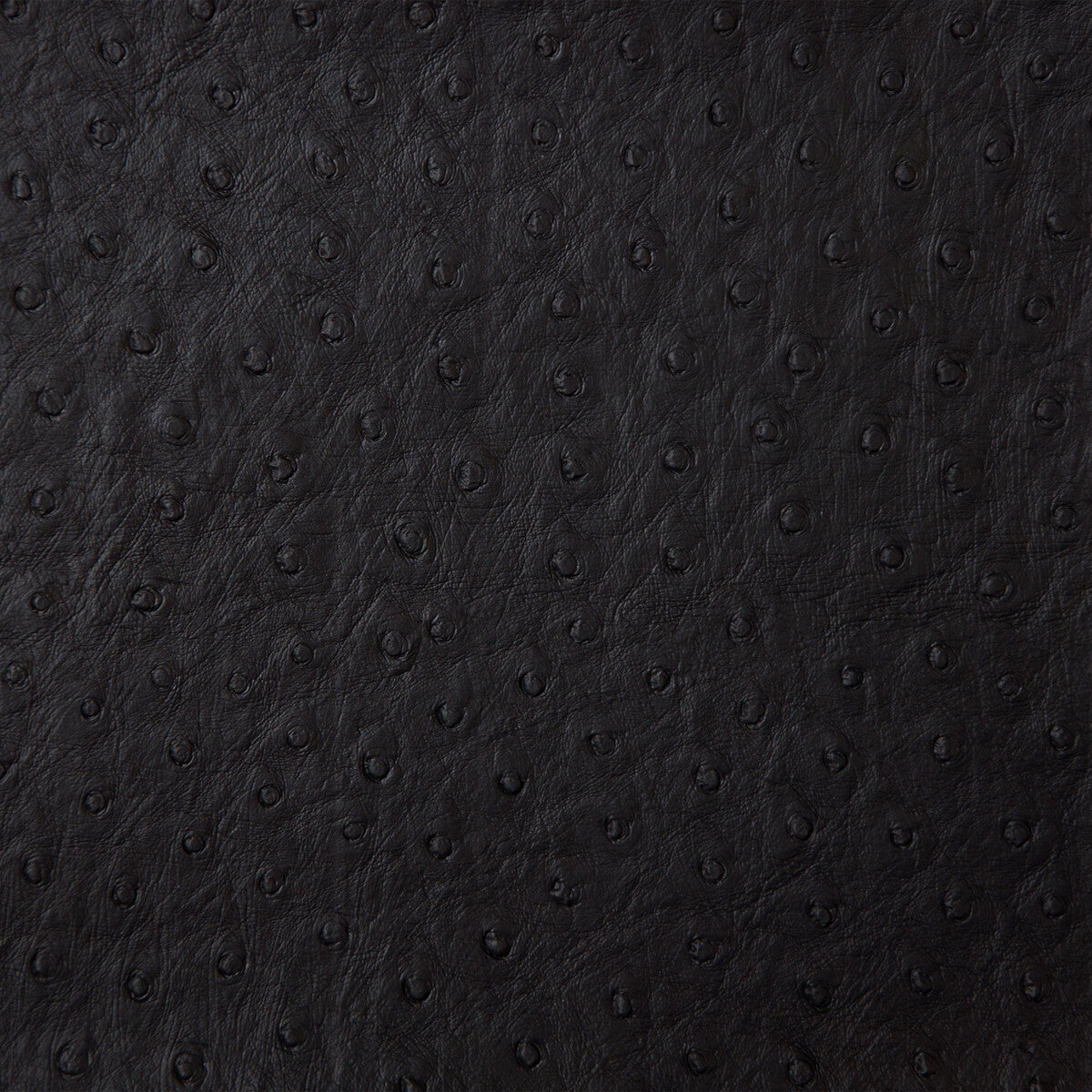 KRAVET DESIGN SENNA.8.0 KRAVET DESIGN SENNA-8 Fabric - Eade's Wallpaper
