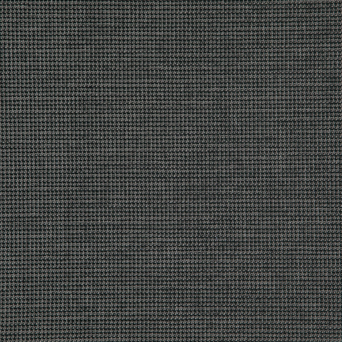 JF Fabrics 98-J8321 SENTENCE Fabric