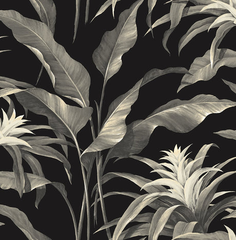 Stacy Garcia Home SG10300 Palma Wallpaper