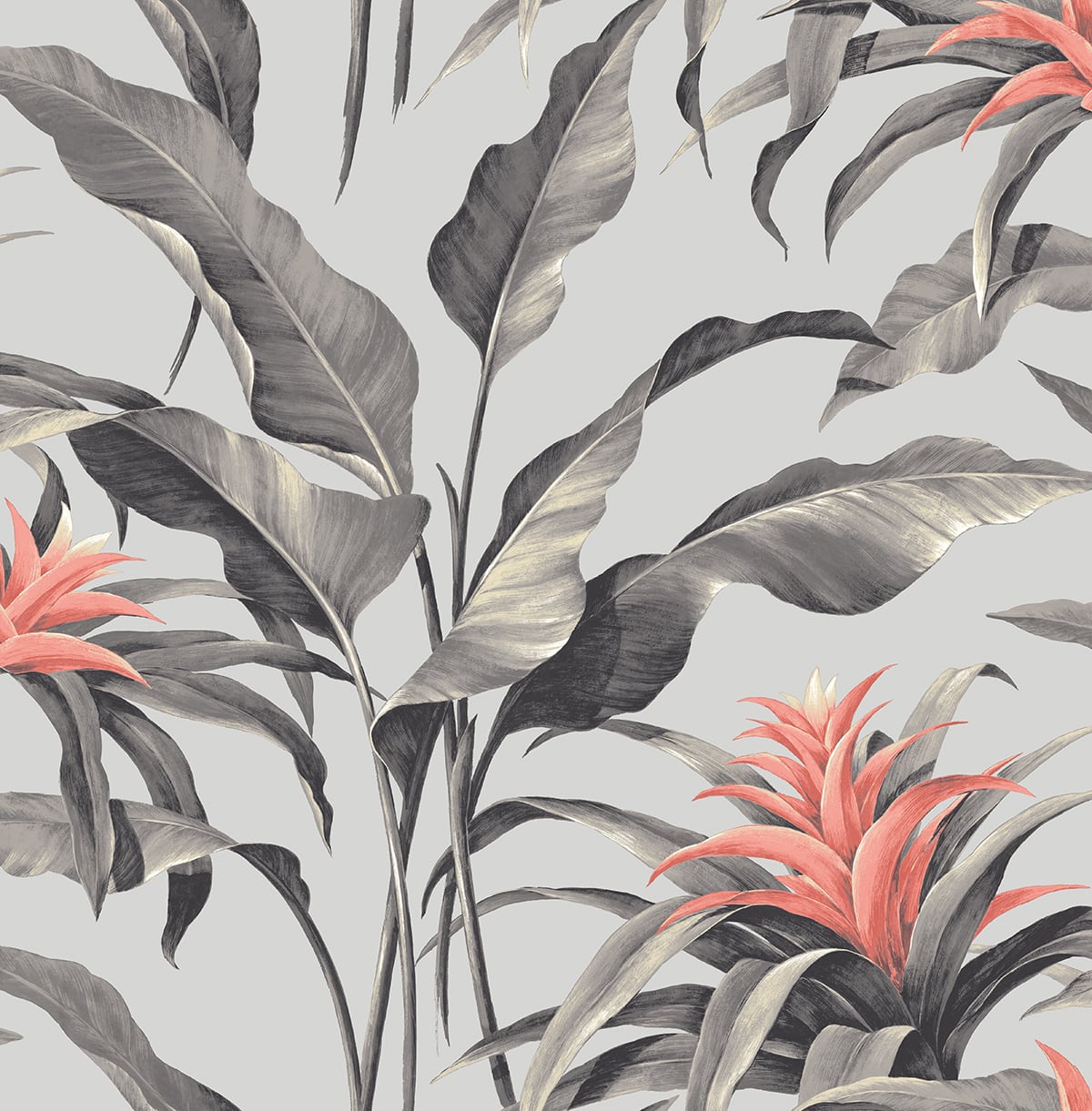 Stacy Garcia Home SG10301 Palma Wallpaper