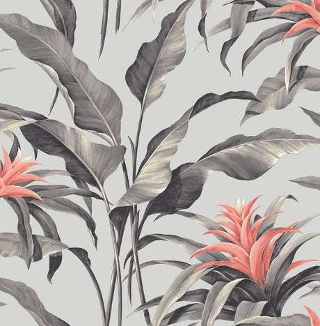 Stacy Garcia Home SG10301 Palma Wallpaper