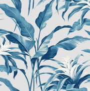 Stacy Garcia Home SG10302 Palma Wallpaper