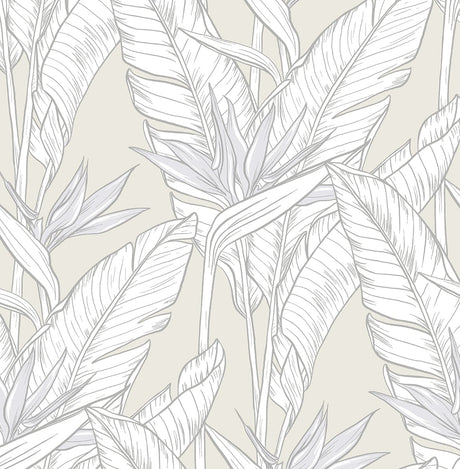 Stacy Garcia Home SG11905 Birds of Paradise Wallpaper