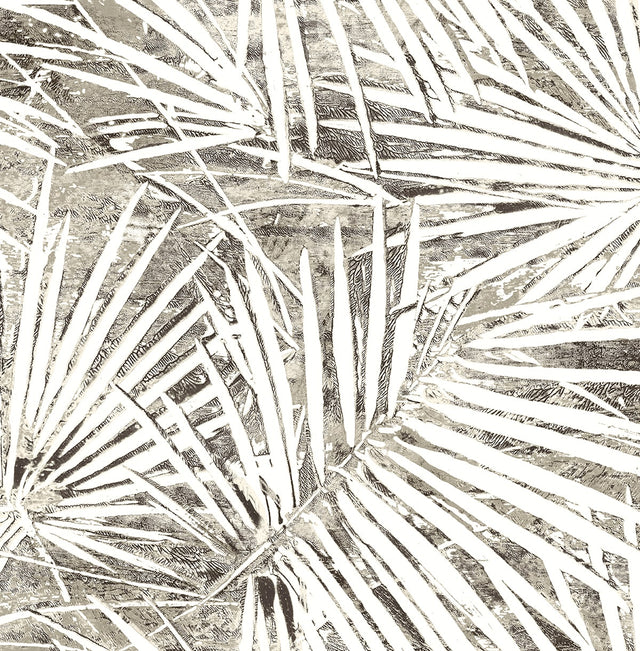 Stacy Garcia Home SG13408 Fossil Palm Wallpaper