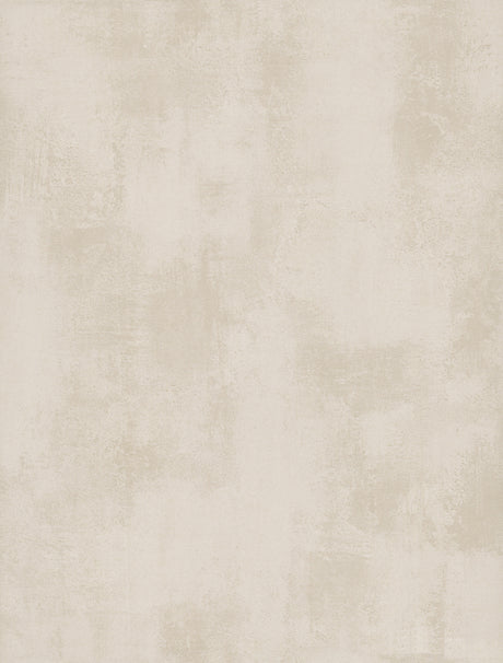 Eade’s Italian Plaster Plaster