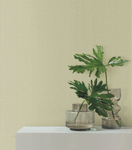 York SI24951 Su Tela Green Wallpaper