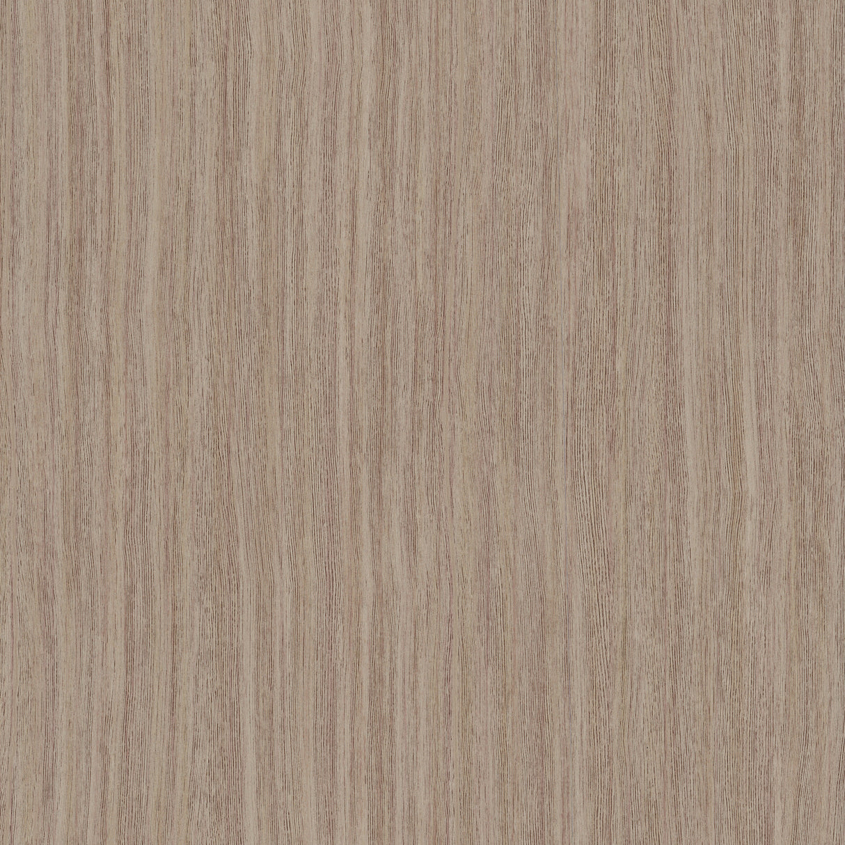 Eade’s Wistman Stripe Canyon