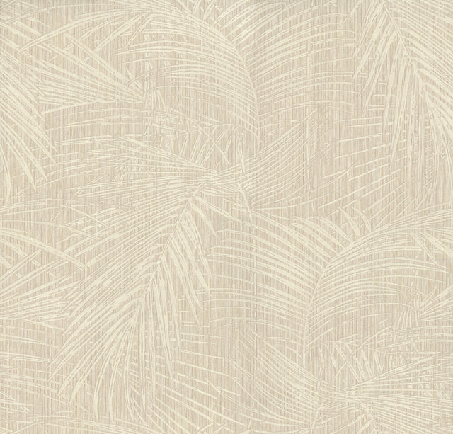 Eade’s Della Palm Shell