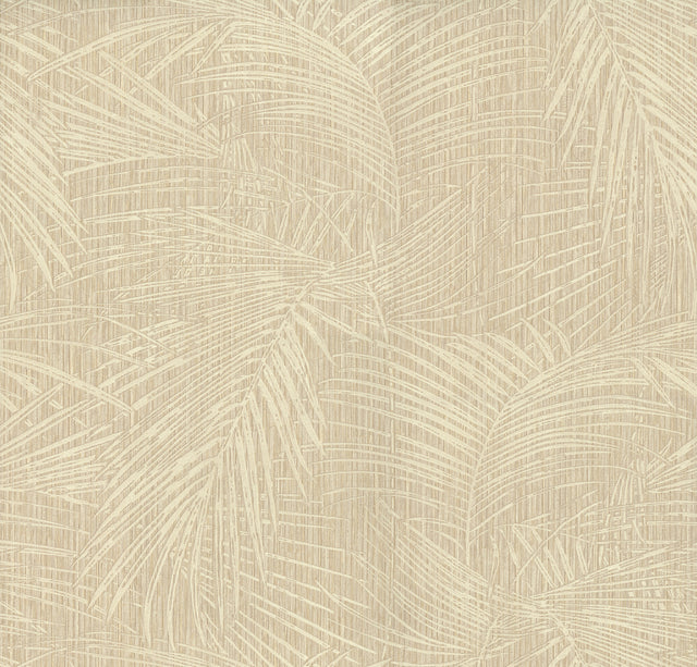 Eade’s Della Palm Wheat