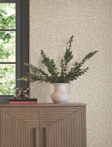 York SI6571 Lemuria Beige Wallpaper - Eade's Wallpaper