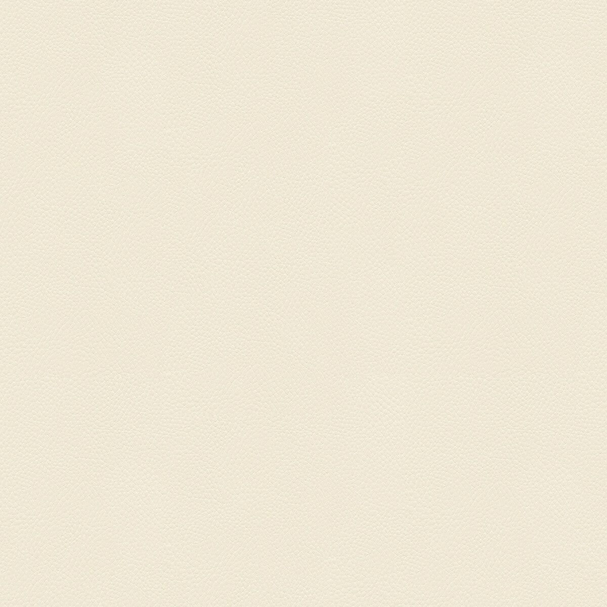 KRAVET COUTURE SIDE KICK.1.0 SIDE KICK BLANC Fabric - Eade's Wallpaper