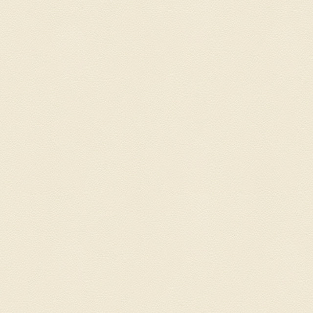 KRAVET COUTURE SIDE KICK.1.0 SIDE KICK BLANC Fabric - Eade's Wallpaper