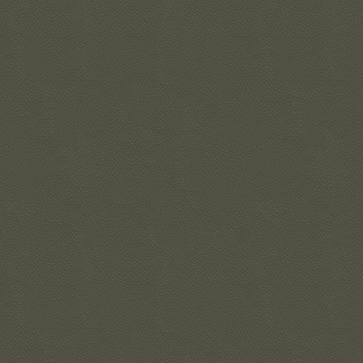 KRAVET COUTURE SIDE KICK.11.0 SIDE KICK PEWTER Fabric - Eade's Wallpaper
