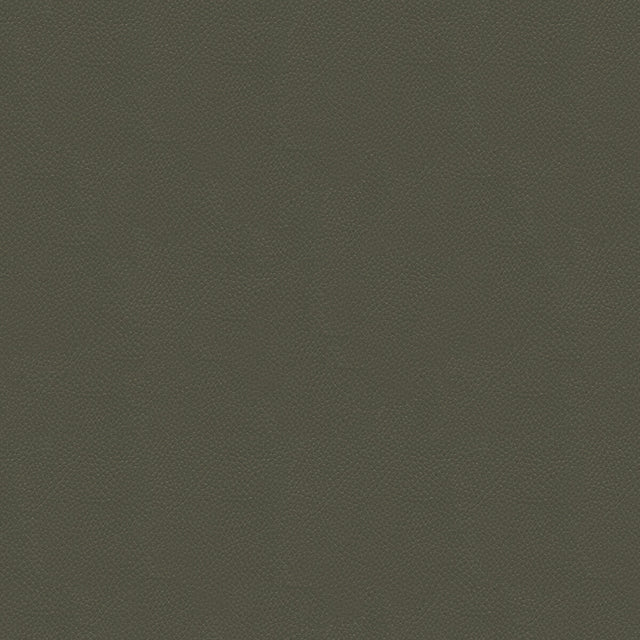 KRAVET COUTURE SIDE KICK.11.0 SIDE KICK PEWTER Fabric - Eade's Wallpaper