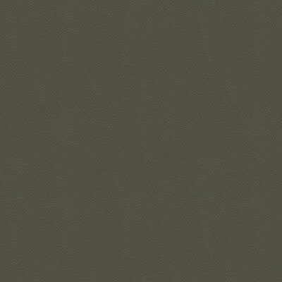 KRAVET COUTURE SIDE KICK.11.0 SIDE KICK PEWTER Fabric - Eade's Wallpaper