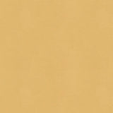 KRAVET COUTURE SIDE KICK.16.0 SIDE KICK CROISSANT Fabric - Eade's Wallpaper
