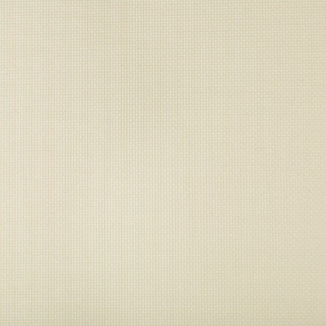 KRAVET CONTRACT SIDNEY.11.0 SIDNEY STUCCO Fabric - Eade's Wallpaper