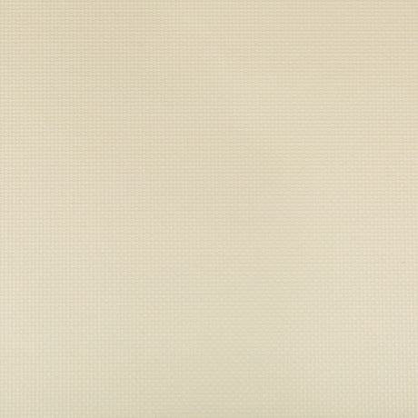KRAVET CONTRACT SIDNEY.116.0 SIDNEY PAPYRUS Fabric - Eade's Wallpaper