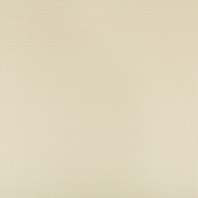 KRAVET CONTRACT SIDNEY.116.0 SIDNEY PAPYRUS Fabric - Eade's Wallpaper