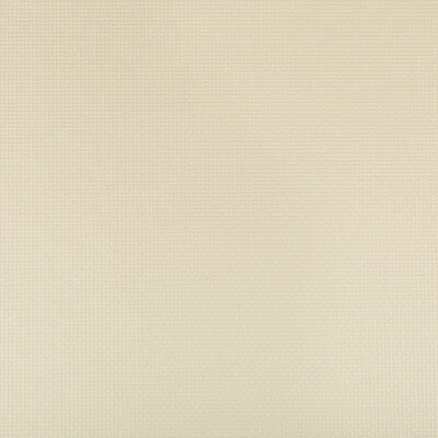 KRAVET CONTRACT SIDNEY.116.0 SIDNEY PAPYRUS Fabric - Eade's Wallpaper