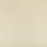 KRAVET CONTRACT SIDNEY.116.0 SIDNEY PAPYRUS Fabric - Eade's Wallpaper