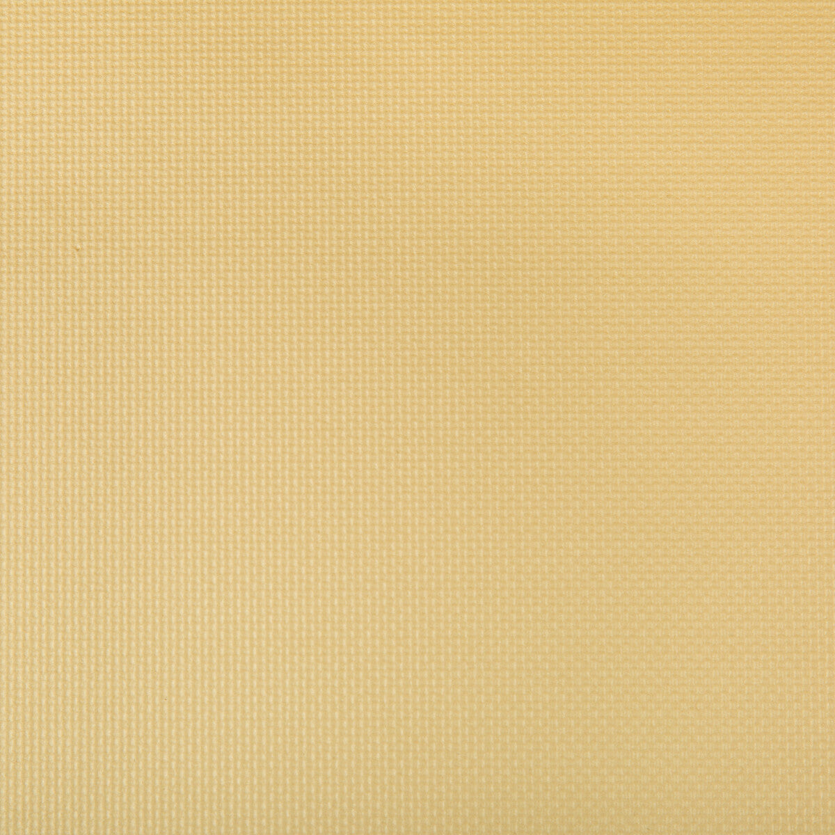 KRAVET CONTRACT SIDNEY.14.0 SIDNEY SOFT GOLD Fabric - Eade's Wallpaper
