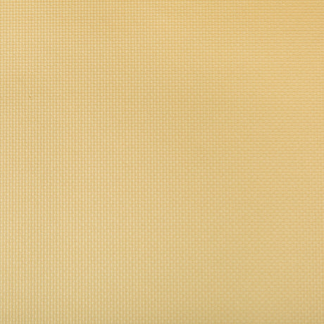 KRAVET CONTRACT SIDNEY.14.0 SIDNEY SOFT GOLD Fabric - Eade's Wallpaper